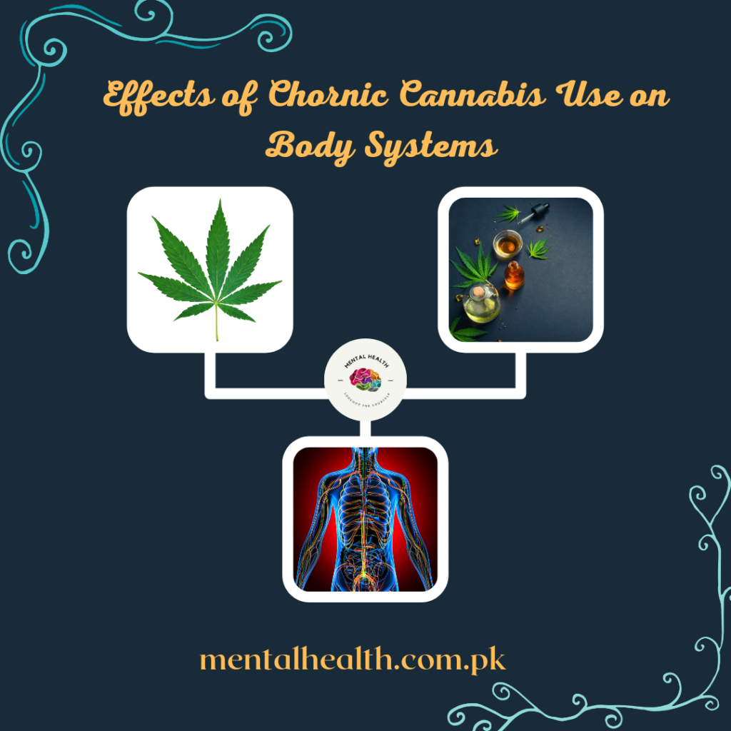 The Effect of Chronic Use of Cannabis on the Body System