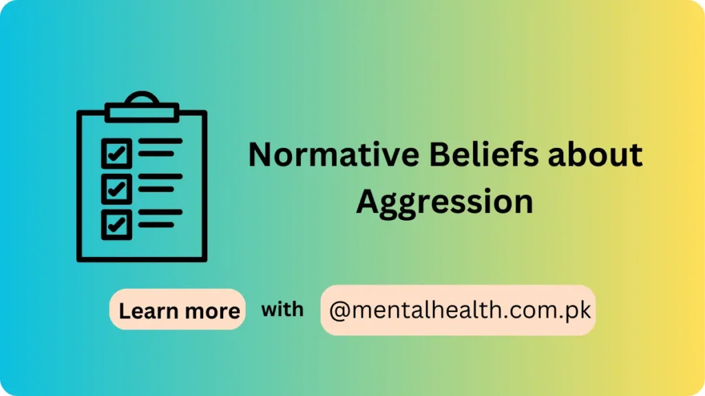 Normative Beliefs about Aggression