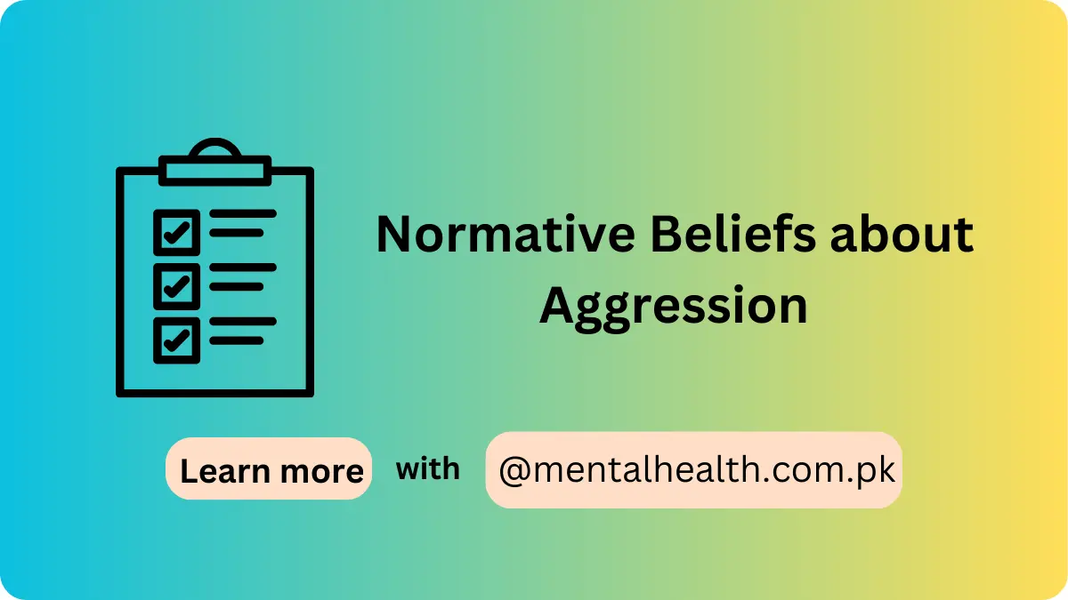 Normative Beliefs about Aggression