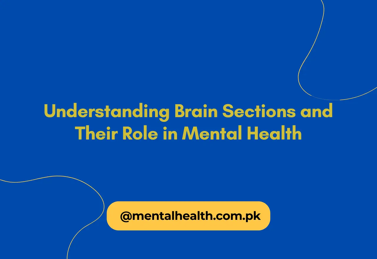 Understanding Brain Sections and Their Role in Mental Health